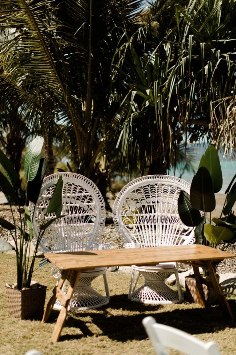a table with chairs and a wicker chair sits in front of a palm tree, creating a cozy outdoor setting.