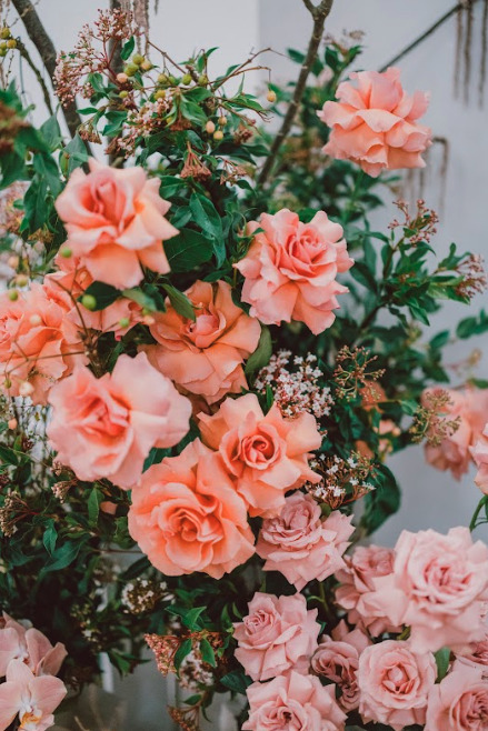 A vase full of pink-colored flowers.