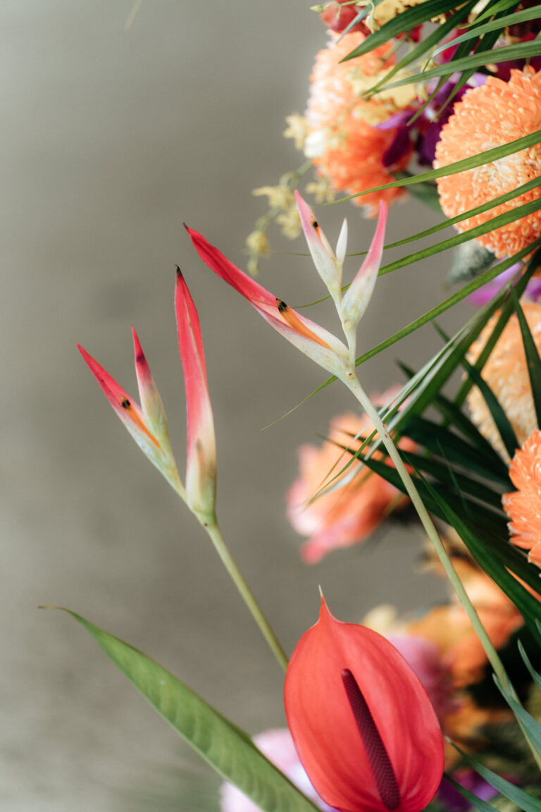 A vibrant arrangement of exotic flowers in various colors and shapes