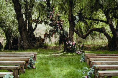 long bench line up in an outdoor forest wedding